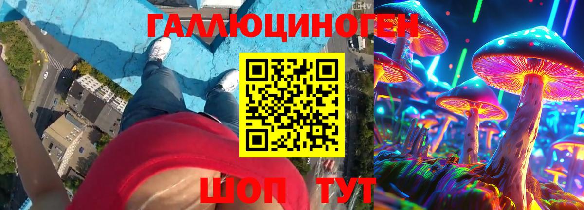 Псилоцибиновые грибы мицелий Кемерово